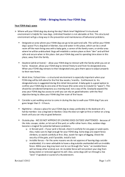 FOHA – Bringing Home Your FOHA Dog