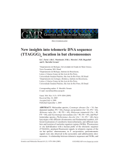 New insights into telomeric DNA sequence (TTAGGG