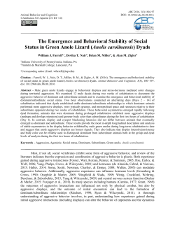 The Emergence and Behavioral Stability of Social Status in Green