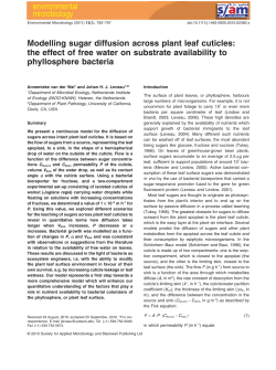 Modelling sugar diffusion across plant leaf cuticles: the effect of free