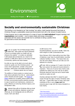 sustainable Christmas - Library
