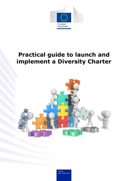 Practical guide to launch and implement a Diversity Charter