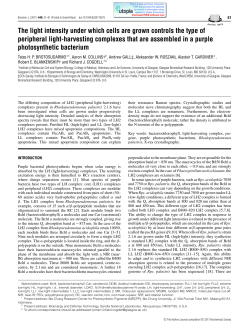 The light intensity under which cells are grown controls the type of