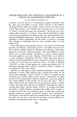 creche behavior and individual recognition in a colony of