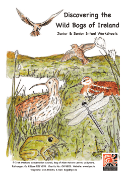 Discovering the Wild Bogs of Ireland