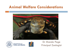 Animal Welfare Considerations