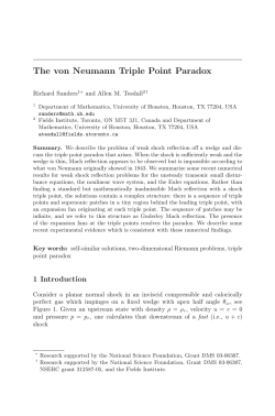 The von Neumann Triple Point Paradox