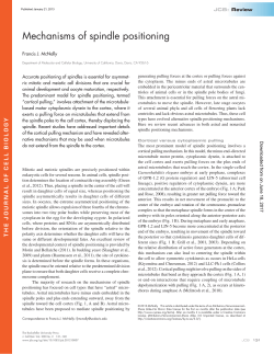 Mechanisms of spindle positioning