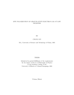 SPIN POLARIZATION OF GROUND STATE ELECTRON GAS AT