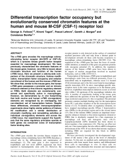 Differential transcription factor occupancy but evolutionarily