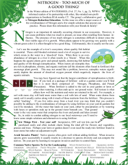 nitrogen - too much of a good thing! - Wood