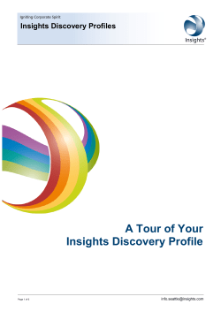 Understanding your Insights Discovery Profile
