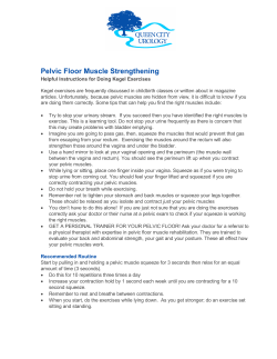 Kegel Excercises - Queen City Urology