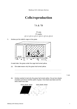Cells/reproduction