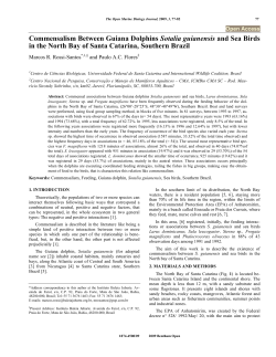 Commensalism Between Guiana Dolphins Sotalia guianensis and