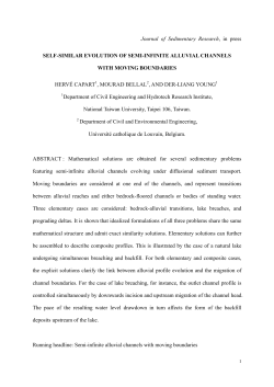 Journal of Sedimentary Research, in press SELF