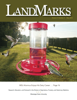 Fall 2013 Mississippi Landmarks Magazine