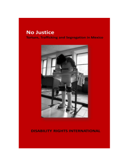 English PDF - Disability Rights International