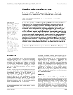 as a PDF