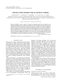 Detection of Root Mucilage Using an Anti‐fucose Antibody