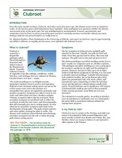 Clubroot - Blairs | Family of Companies