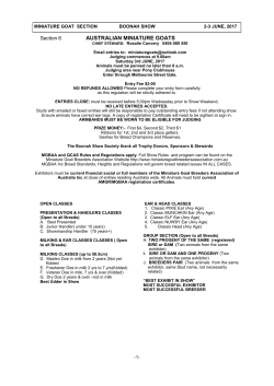 Miniature Goats - Boonah Show Society