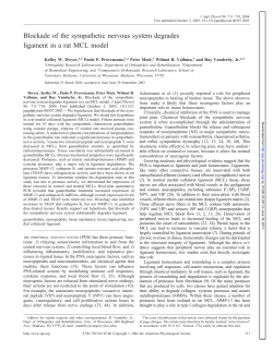 Blockade of the sympathetic nervous system degrades ligament in a