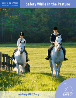 Saddle Up SAFELY Safety While in the Pasture