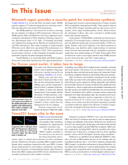 Tmem231 keeps cilia in the zone