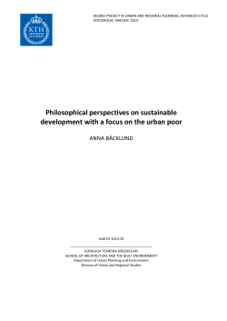 Philosophical perspectives on sustainable development with
