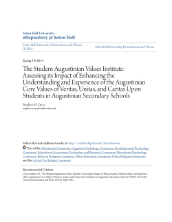 The Student Augustinian Values Institute