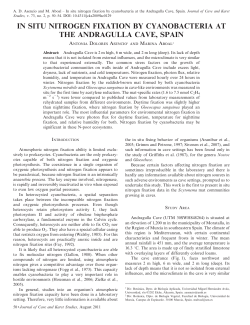 IN SITU NITROGEN FIXATION BY CYANOBACTERIA AT THE