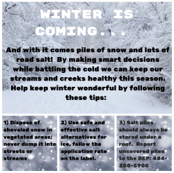 Copy of &ldquo;She turned to the sunlight And shook her yellow head,And