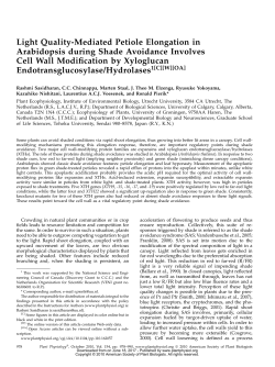 et al. - Plant Physiology