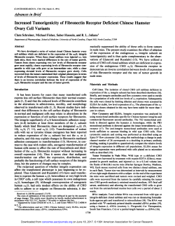 Increased Tumorigenicity of Fibronectin