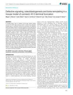 PDF + SI - Journal of Cell Science