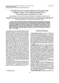 Corynebacterium urealyticum - International Journal of Systematic