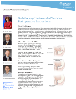 Undescended testes