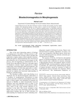 Bioelectromagnetics in Morphogenesis