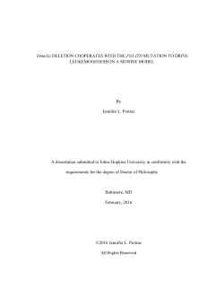Dnmt3a DELETION COOPERATES WITH THE Flt3