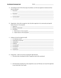 Our Backyard Scavenger Hunt Name: A. An example of each of the