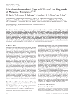 Mitochondria-associated Yeast mRNAs and the Biogenesis of