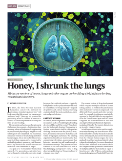 Honey, I shrunk the lungs