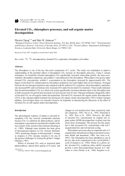 Elevated CO2, rhizosphere processes, and soil organic matter