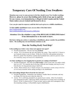 Temporary Care Doc - Tree Swallow Project