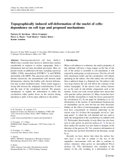 Topographically induced self-deformation of the nuclei of cells