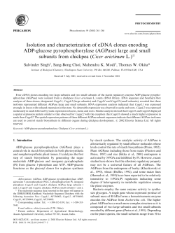 (AGPase) large and small subunits from chic