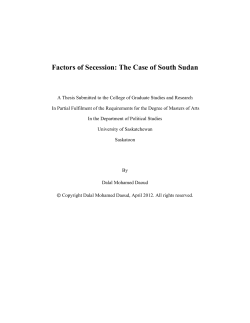 Factors of Secession: The Case of South Sudan