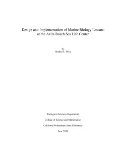 Design and Implementation of Marine Biology Lessons at the Avila