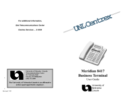 Meridian 8417 - Information Technology Services